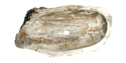 Allstone 32"x19"x6" Petrified Wood Stone Vessel Sink, Beige, Brown, PEWD-#016