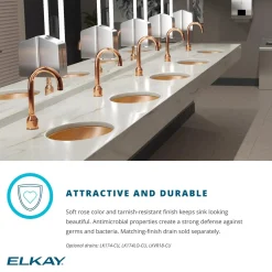 Elkay 19