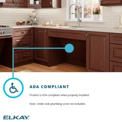 Elkay Lustertone Classic 20