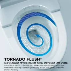 TOTO Nexus Two-Piece Elongated 1.28 GPF Universal Height Toilet with CEFIONTECT and SS124 SoftClose Seat, WASHLET+ Ready, Colonial White, Vitreous China, MS442124CEFG#11